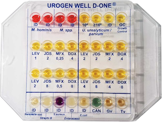 CPM WELL D-ONE Rapid Systems for Identification and Susceptibility Test