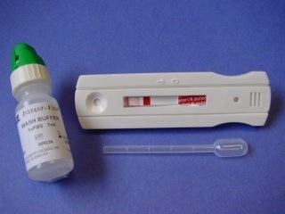 Helicobacter pylori