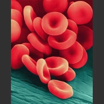 Blood Grouping